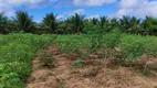 Foto 23 de Fazenda/Sítio com 1 Quarto à venda, 4000m² em Sitio Arena, São José de Mipibu