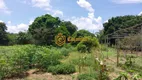 Foto 22 de Fazenda/Sítio com 4 Quartos à venda, 120m² em Area Rural de Capao Bonito, Capão Bonito