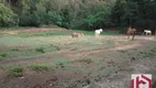 Foto 5 de Lote/Terreno para venda ou aluguel, 65000m² em Mirante das Estâncias, Águas de Lindóia