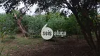 Foto 49 de Fazenda/Sítio com 5 Quartos à venda, 1000m² em Jardim América, Americana