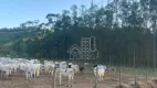 Foto 10 de Fazenda/Sítio com 3 Quartos à venda, 1000m² em Boa Esperança, Rio Bonito