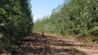 Foto 3 de Fazenda/Sítio à venda em Centro, João Pinheiro