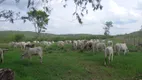 Foto 8 de Fazenda/Sítio à venda em Centro, São Miguel do Passa Quatro