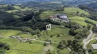 Foto 4 de Imóvel Comercial à venda, 30000m² em Zona Rural, Flores da Cunha