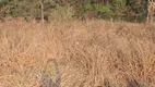 Foto 7 de Fazenda/Sítio com 6 Quartos à venda, 7000m² em Condomínio Nosso Rancho, Contagem