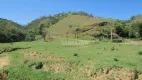 Foto 25 de Fazenda/Sítio com 12 Quartos à venda, 3630000m² em , São José do Vale do Rio Preto