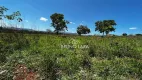 Foto 5 de Lote/Terreno à venda, 9000m² em RANCHO TRÊS LAGOAS, Igarapé