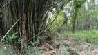 Foto 14 de Lote/Terreno à venda, 20000m² em , Gramado