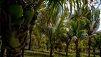 Foto 8 de Fazenda/Sítio à venda, 48000m² em Barra do Pojuca, Camaçari