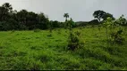 Foto 2 de Fazenda/Sítio à venda, 130000m² em , Paraíso do Tocantins