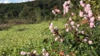 Foto 6 de Fazenda/Sítio à venda, 1000m² em Centro, Itatiaiuçu