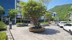 Foto 12 de Sala Comercial para alugar, 38m² em Cacupé, Florianópolis