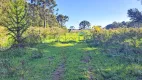 Foto 17 de Fazenda/Sítio à venda, 10000m² em , São Francisco de Paula