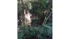 Foto 4 de Lote/Terreno à venda, 6055m² em Jardins de Petropolis, Nova Lima