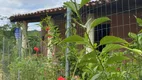 Foto 11 de Fazenda/Sítio com 4 Quartos à venda, 10000m² em Zona Rural, Aratuba