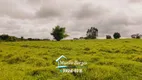 Foto 3 de Fazenda/Sítio com 3 Quartos à venda, 146000m² em Zona Rural, Aragoiânia