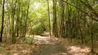 Foto 27 de Fazenda/Sítio com 6 Quartos à venda, 300m² em Zona Rural, Bonito