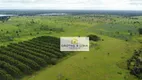 Foto 10 de Fazenda/Sítio à venda, 800m² em Zona Rural, Formoso do Araguaia