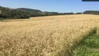 Foto 10 de Fazenda/Sítio com 2 Quartos à venda, 1m² em Zona Rural, São Miguel Arcanjo