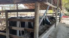 Foto 8 de Fazenda/Sítio com 3 Quartos à venda, 170000m² em Centro, Itaguara