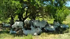 Foto 13 de Fazenda/Sítio com 2 Quartos à venda, 960000m² em Zona Rural, Silva Jardim