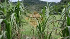 Foto 25 de Fazenda/Sítio com 5 Quartos à venda, 380000m² em , Juquiá