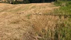 Foto 9 de Fazenda/Sítio com 2 Quartos à venda, 1016400m² em Zona Rural, Rio Negrinho