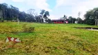 Foto 11 de Fazenda/Sítio com 4 Quartos à venda, 11500m² em Area Rural de Sao Jose dos Pinhais, São José dos Pinhais