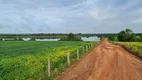 Foto 9 de Fazenda/Sítio à venda, 170000000m² em Setor Central, Santa Fé do Araguaia