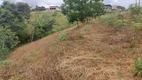 Foto 11 de Fazenda/Sítio à venda, 3000m² em Timbui, Fundão