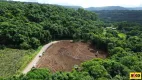 Foto 8 de Fazenda/Sítio à venda, 15728m² em Pinhal Alto, Nova Petrópolis