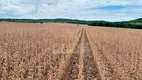 Foto 5 de Fazenda/Sítio à venda, 5614400m² em Zona Rural , Rio Verde