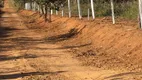 Foto 5 de Fazenda/Sítio à venda, 2500m² em Zona Rural, Abadiânia