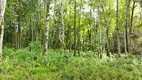 Foto 8 de Fazenda/Sítio à venda, 21000m² em Capivara, Almirante Tamandaré