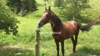 Foto 4 de Fazenda/Sítio com 5 Quartos à venda, 620000m² em Posse, Petrópolis