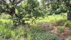 Foto 10 de Fazenda/Sítio com 3 Quartos à venda, 200000m² em Povoado Punau, Rio do Fogo