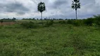 Foto 11 de Fazenda/Sítio com 1 Quarto à venda, 200m² em Zona Rural, Boa Saúde