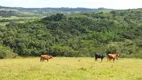 Foto 18 de Fazenda/Sítio com 7 Quartos à venda, 500m² em Passo da Areia, Viamão