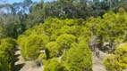 Foto 42 de Fazenda/Sítio com 2 Quartos à venda, 300000m² em Zona Rural, Pariquera-Açu