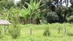 Foto 48 de Fazenda/Sítio com 3 Quartos à venda, 180000m² em Area Rural de Planaltina, Brasília