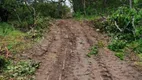 Foto 20 de Chácara com 1 Quarto à venda, 60m² em Zona Rural, Teresina de Goiás