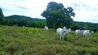 Foto 6 de Fazenda/Sítio à venda em , Uruaçu