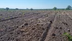 Foto 15 de Fazenda/Sítio à venda, 1m² em , Santa Rita do Tocantins