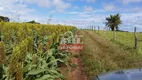 Foto 30 de Fazenda/Sítio à venda em Zona Rural, Leopoldo de Bulhões