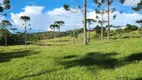 Foto 11 de Fazenda/Sítio com 3 Quartos à venda, 100m² em Centro, Campo Alegre