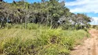 Foto 3 de Lote/Terreno à venda, 5000m² em Jardim Tatiana, Votorantim