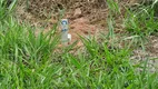 Foto 17 de Lote/Terreno à venda em Caxambú, Jundiaí