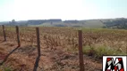 Foto 17 de Fazenda/Sítio à venda, 223000m² em Pedregulho, Itu