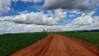 Foto 21 de Fazenda/Sítio à venda, 4910000m² em Centro, Jataí