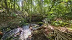 Foto 49 de Fazenda/Sítio com 5 Quartos à venda, 310m² em América de Cima, Morretes